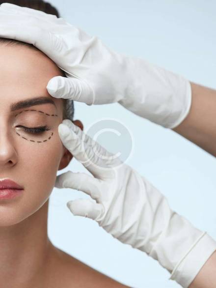 portf11-copyright portf11-copyright